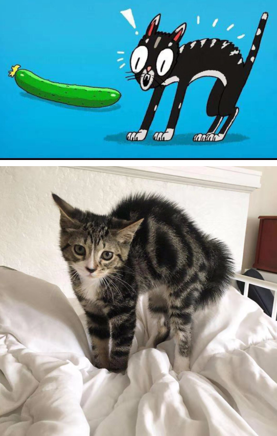 1563793081751474.png blob.png