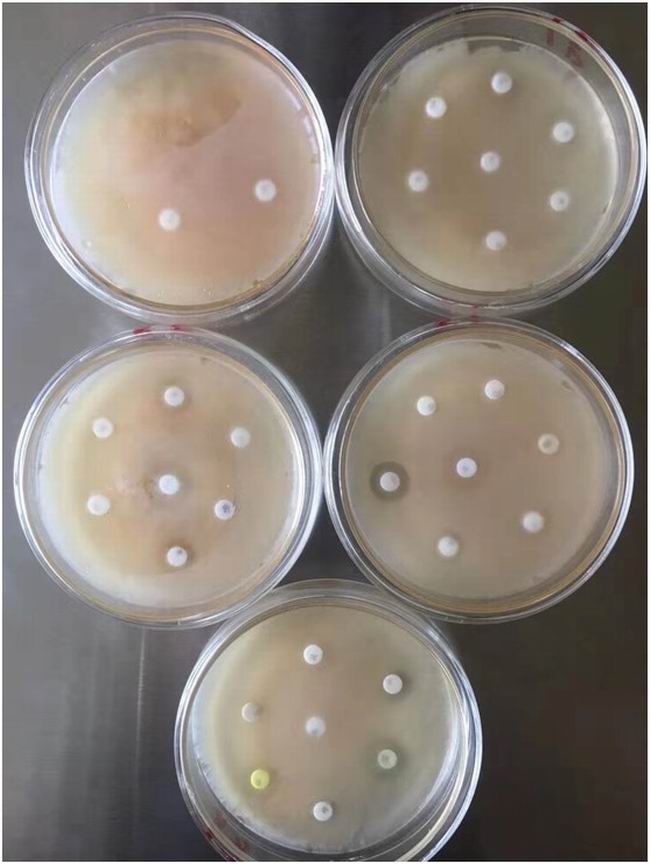 1564637432367516.jpg B378A8D3-4B1A-4512-A27B-682B2DAFDC0B.JPG