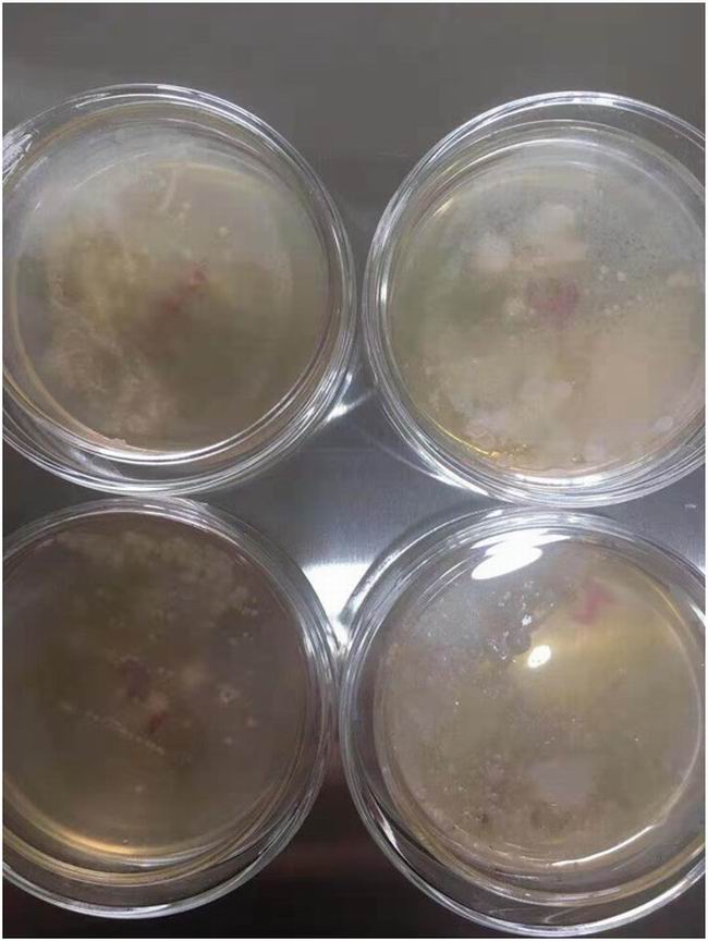 1564637437860127.jpg 55593F14-49F6-4A45-BF88-1436FF28159C.JPG