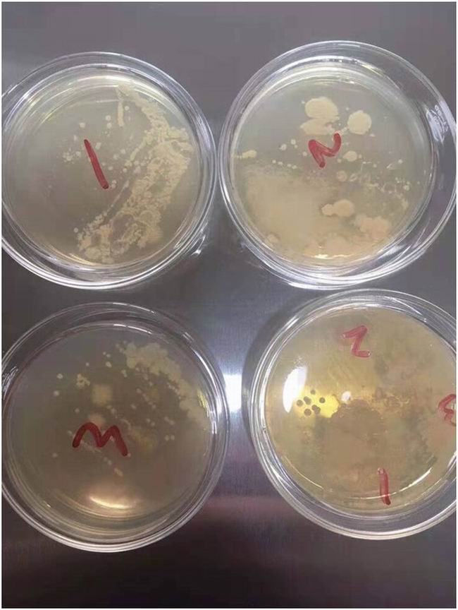 1564637442648471.jpg 217EB584-4437-4B73-B52D-5406BFE451EE.JPG