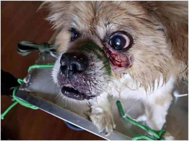 1564637577499615.jpg C0223604-DCD5-4110-B5DA-F817FD57FE82.JPG