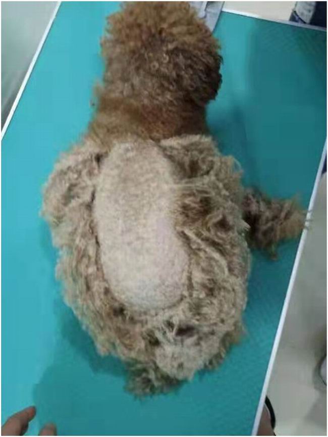 1564637623481928.jpg EFDC1EF5-002C-4DE5-83EE-2EA3ED582641.JPG