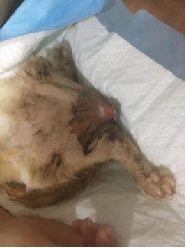 1566630526243261.png blob.png