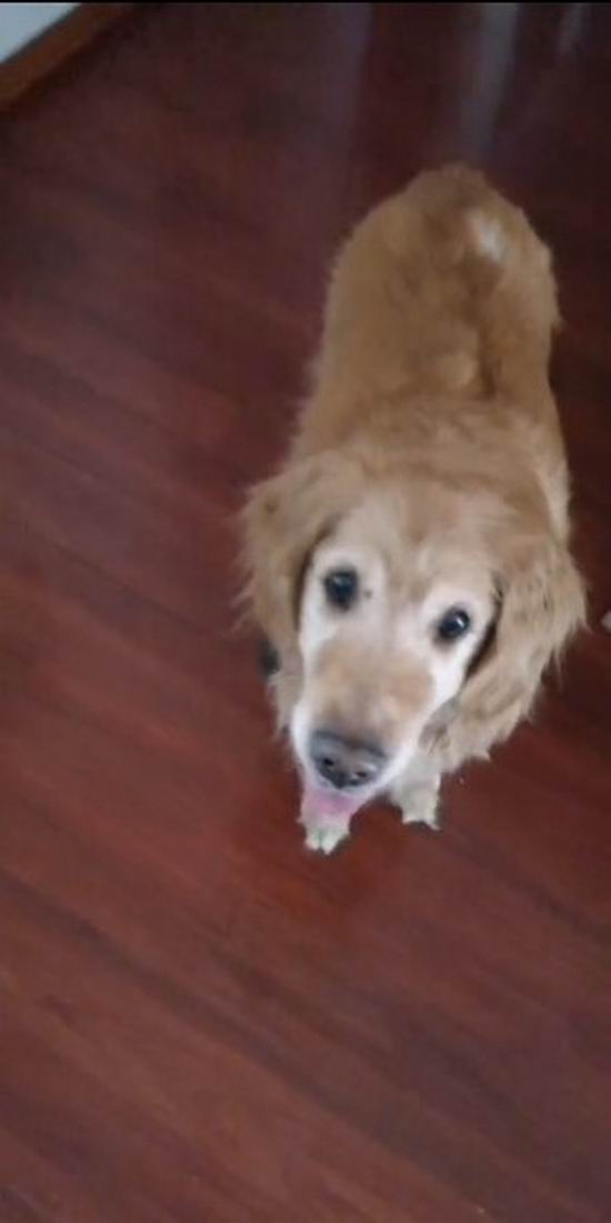 1567406709552283.jpg 3.JPG