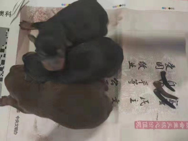 1567406915631258.png image.png