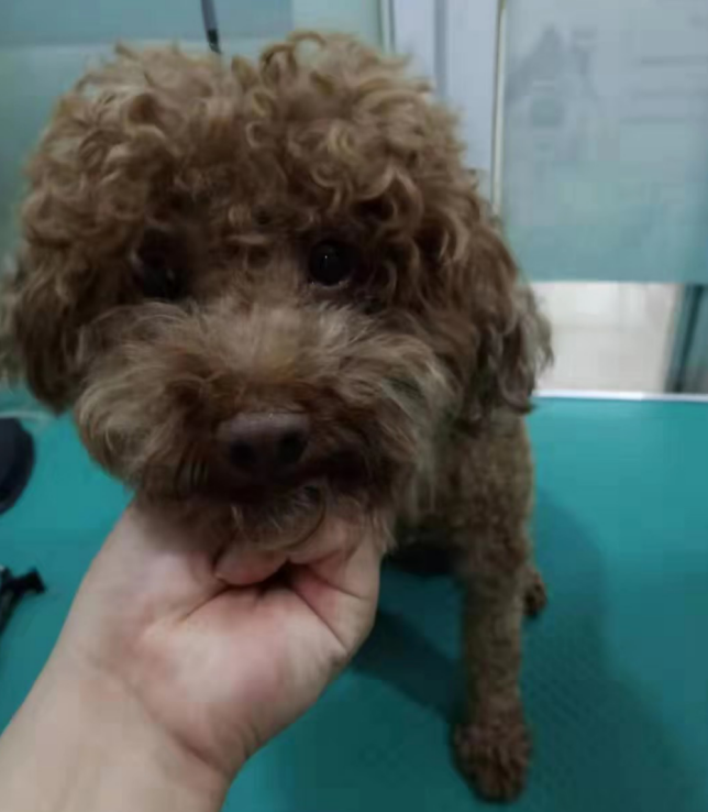 1567406986610718.png image.png