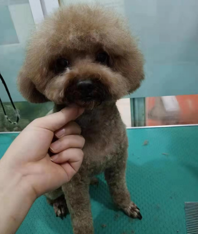 1567407030133463.png image.png