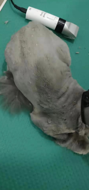 1573615021473727.png blob.png