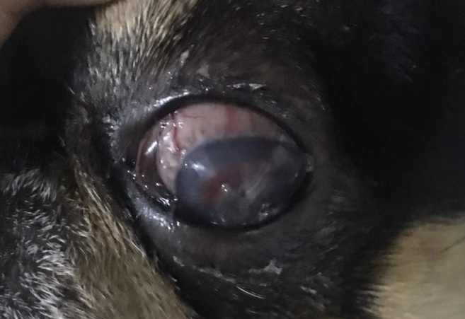 1573712521222415.png image.png