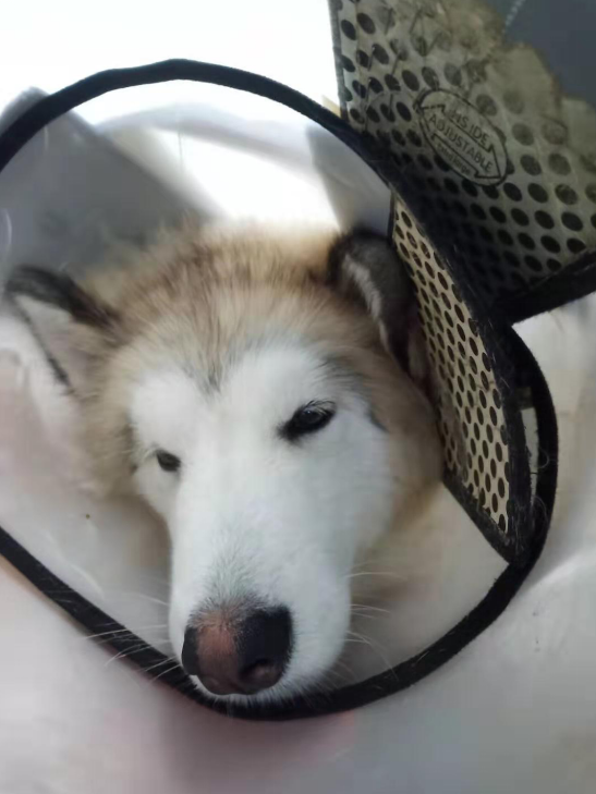 1574048911750579.png image.png