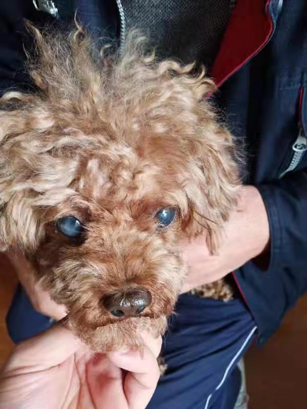 1576114020304182.jpg image001.jpg