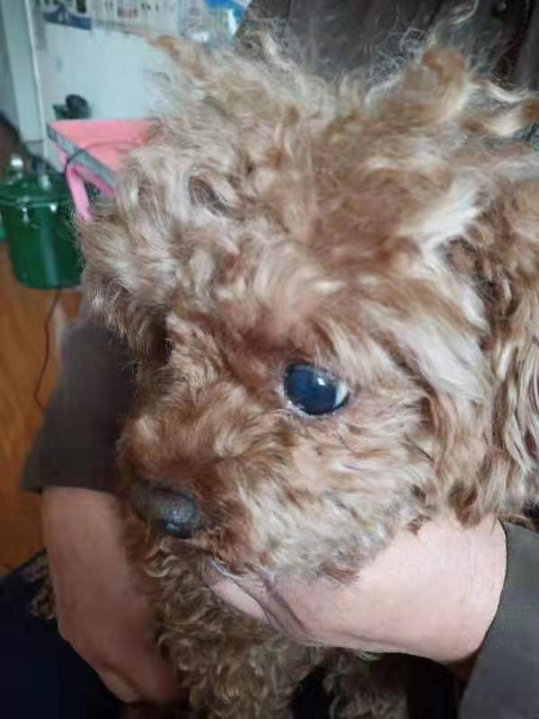 1576114060372972.jpg image005.jpg