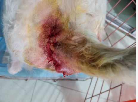 1576837188792939.png blob.png